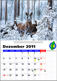 Schweden-Kalender 2012 Dez.11