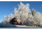 Gällivare im Herzen Lapplands -  warme Sommer und richtige Winter image