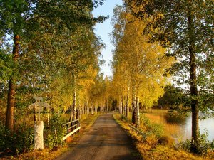 Herbst in Småland