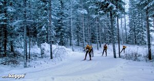 Skilanglauf-Training