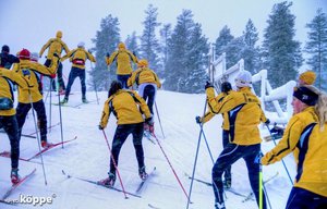 Skilanglauf-Training