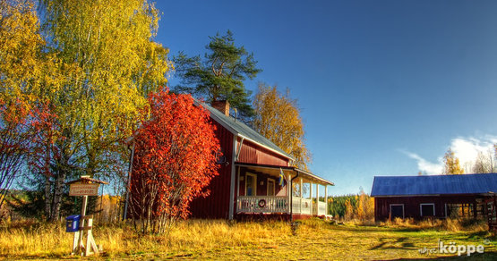 Herbst in Lappland