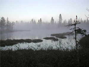 Morgennebel über dem See