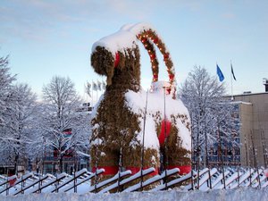 Gävlebocken