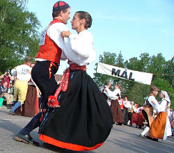 Hälsingehambon Volkstanz