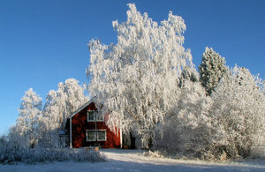 Haus im Frost