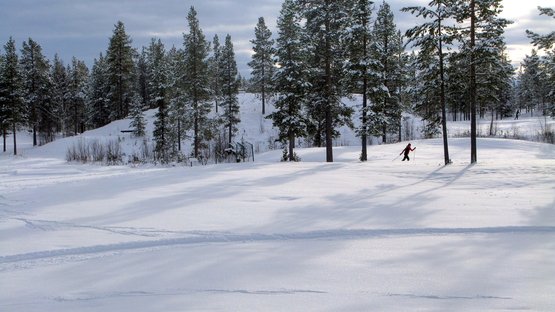 Langlaufloipen in Schweden