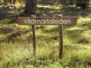 Vildmarksleden Uppvidinge