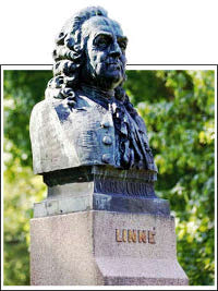 Carl von Linné