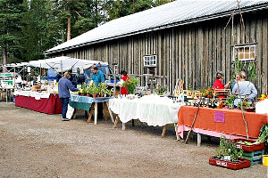 Herbstmarkt in Brunskog